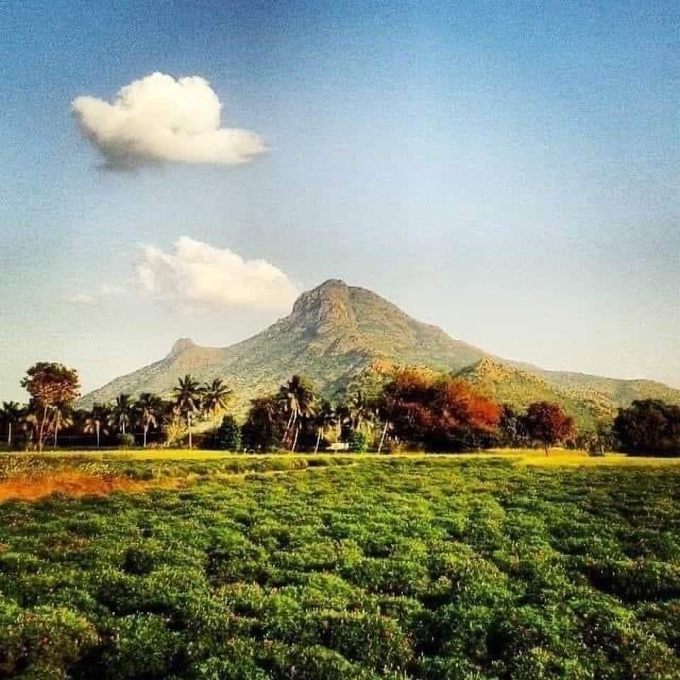 PHAT PHAP NHIEM MAU V3R